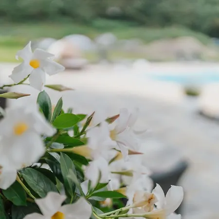 Penzion Casamia Hotel Spremberg