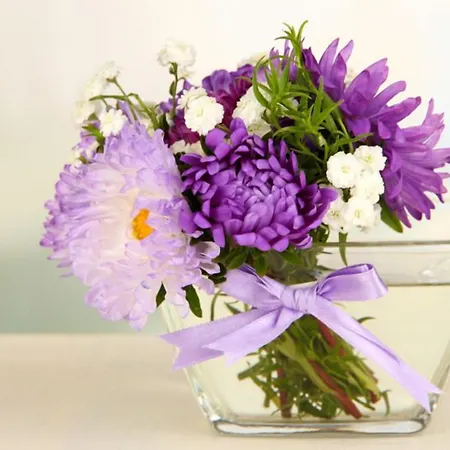 Pensionat Casamia Hotel Spremberg 3*